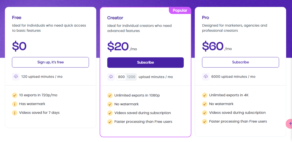 Vizard AI Pricing