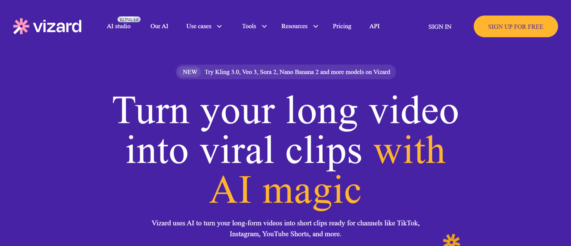 Vizard AI website